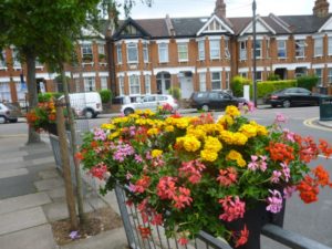 Kerbside_barrier_planting_2015